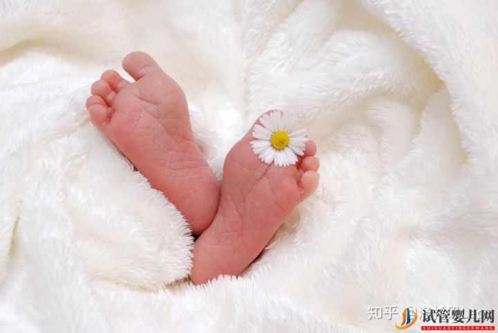 大齡做試管還有機(jī)會(huì)嗎_美國(guó)試管大齡女性必須了解的(圖4)