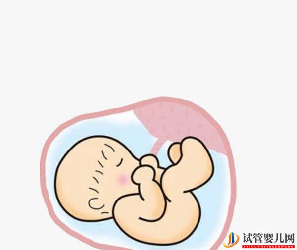 高齡女性選擇試管嬰兒助孕的成功率高嗎？(圖1)