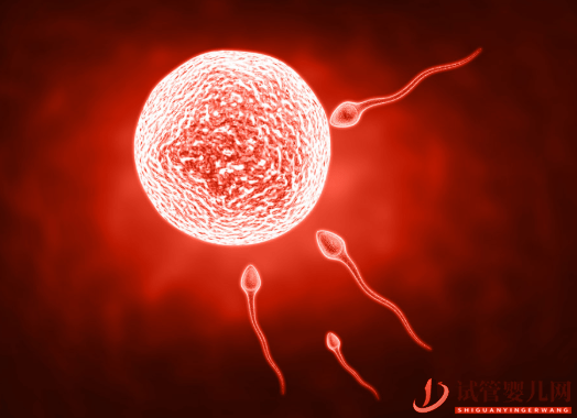 試管嬰兒網(wǎng):amh值低與試管成功率,47歲做試管成功率多少(圖1) amh值低與試管成功率,47歲做試管成功率多少(圖1)