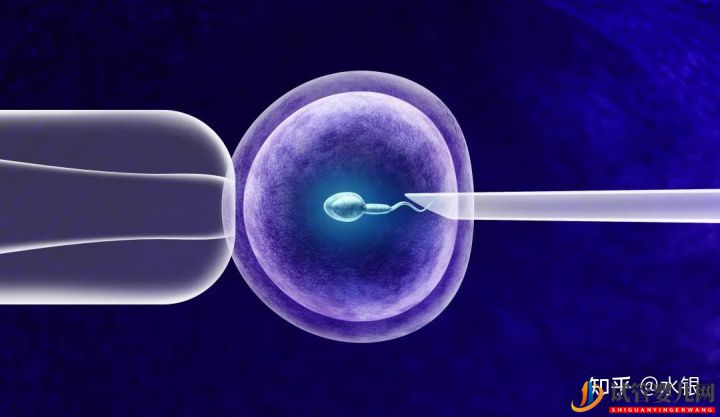 如果患有基因遺傳病可不可以通過試管的方式避免(圖1)