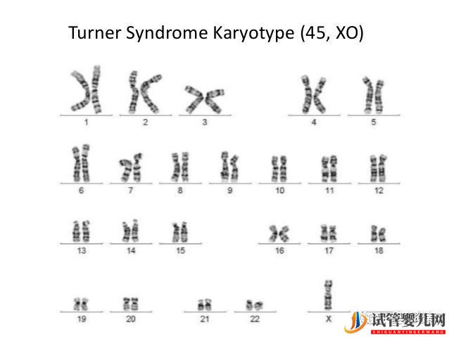 胚胎異常染色體都是我的鍋,我背了!(圖3)