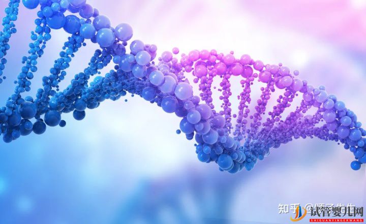 試管嬰兒網(wǎng):胚胎染色體異常究竟是什么原因(圖1) 胚胎染色體異常究竟是什么原因(圖1)