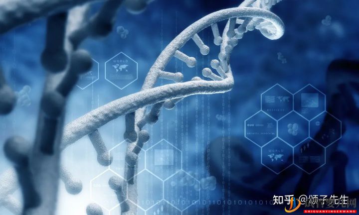 試管嬰兒網(wǎng):胚胎染色體異常究竟是什么原因(圖3) 胚胎染色體異常究竟是什么原因(圖2)