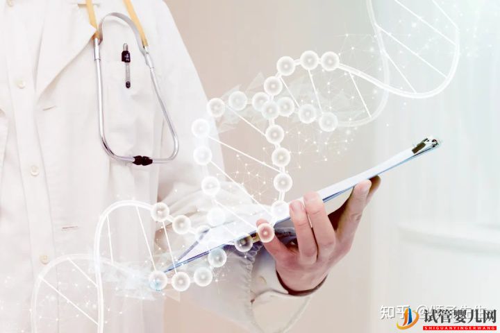 試管嬰兒網(wǎng):胚胎染色體異常究竟是什么原因(圖5) 胚胎染色體異常究竟是什么原因(圖3)