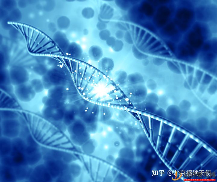 試管嬰兒是自己親生的嗎(圖3)