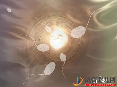 試管嬰兒與自然受孕截然不同(圖1)