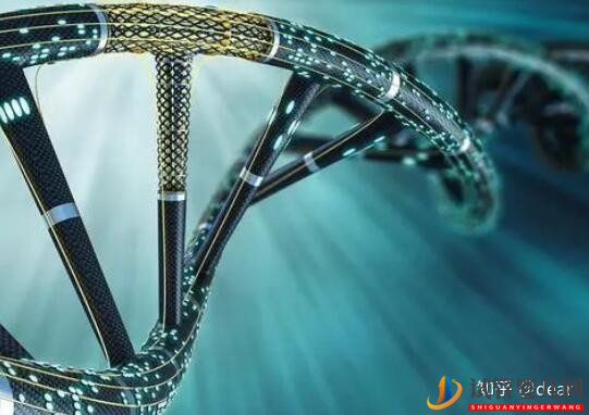 試管移植囊胚成功率多少,如何調理增加成功率(圖2)