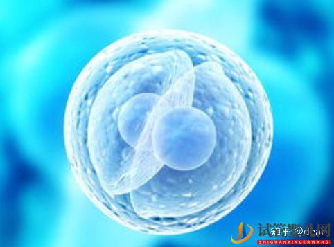 試管移植囊胚成功率多少,如何調理增加成功率(圖8)