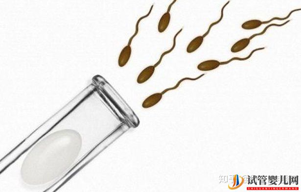 一個高齡婦女的試管之路(圖3)