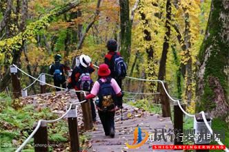 試管嬰兒網(wǎng):一個高齡婦女的試管之路(三次取卵兩次移植的龍鳳胎...(圖21) 一個高齡婦女的試管之路(圖11)