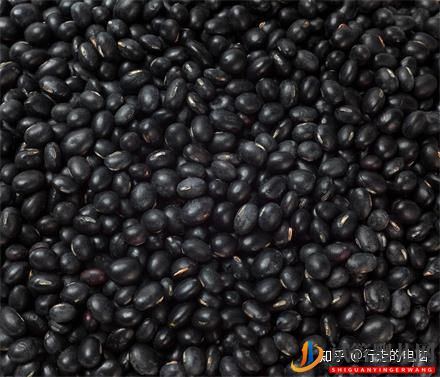 試管嬰兒網(wǎng):一個高齡婦女的試管之路(三次取卵兩次移植的龍鳳胎...(圖17) 一個高齡婦女的試管之路(圖9)