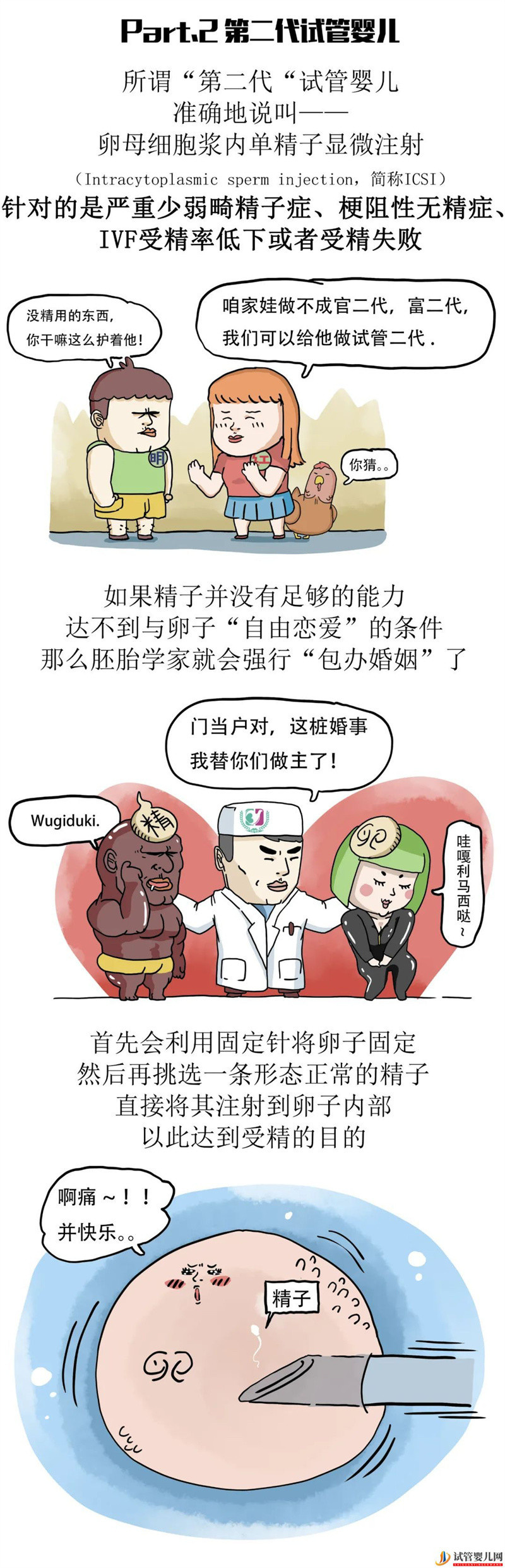 一代更比一代強三代試管強無敵(圖5)