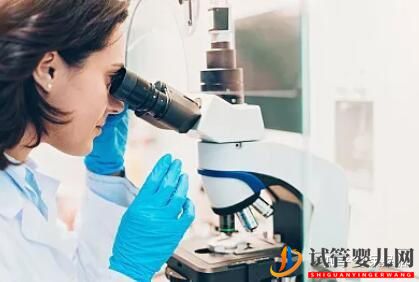 試管嬰兒網:試管過程中影響成功率的關鍵是什么,鮮胚、凍胚、囊...(圖3) 試管過程中影響成功率的關鍵是什么,鮮胚、凍胚(圖2)