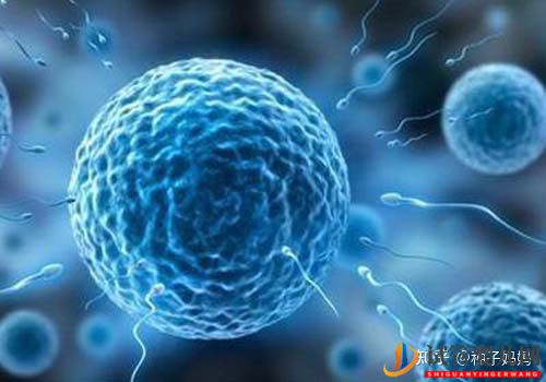 什么時候去做試管成功率較為高云南試管嬰兒費用(圖2)