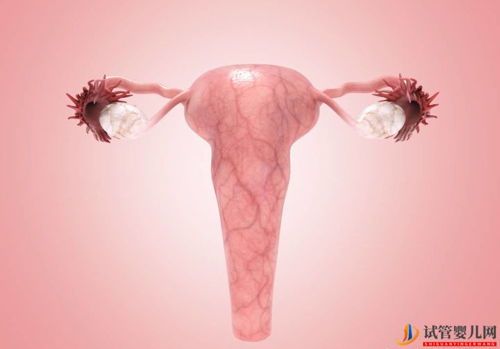 如何治療好多囊卵巢綜合癥一般通過以下3種方式可治(圖3)