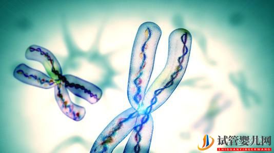 一、二、三代試管嬰兒的優缺點,做試管嬰兒應該選擇(圖3)