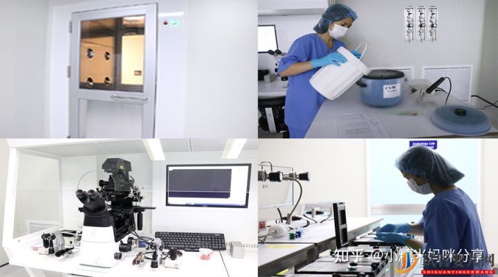 三代試管嬰兒的詳細流程最怕哪個(圖1)