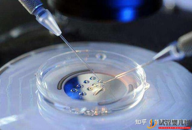 上海做試管嬰兒費(fèi)用大約多少錢三代試管嬰兒成功率...(圖3) 上海做試管嬰兒費(fèi)用大約多少錢三代試管嬰兒成功率(圖3)