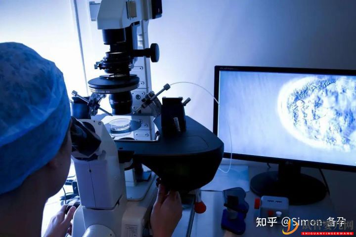 什么是第一代、二代、三代試管嬰er別再傻傻分不清...(圖4)