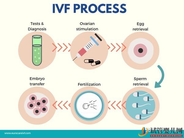 仔細(xì)瞧瞧,第三代試管嬰兒的四大誤區(qū)!(圖5) 仔細(xì)瞧瞧,第三代試管嬰兒的四大誤區(qū)!(圖5)