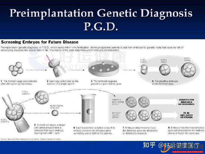 依賴人工干預(yù)的三代試管技術(shù),對(duì)高齡求子(圖2)