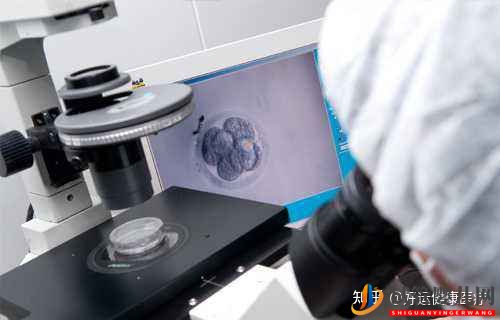 依賴人工干預(yù)的三代試管技術(shù),對(duì)高齡求子(圖3)