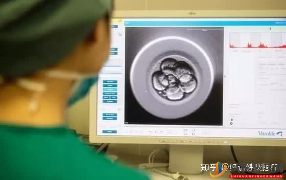 依賴人工干預(yù)的三代試管技術(shù),對(duì)高齡求子(圖6)