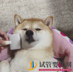 四十歲大齡三代試管嬰兒真實經(jīng)歷一個胚胎也能一次...(圖5) 四十歲大齡三代試管嬰兒真實經(jīng)歷一個胚胎也能一次...(圖5)