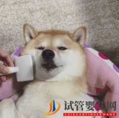 四十歲大齡三代試管嬰兒真實經(jīng)歷一個胚胎也能一次...(圖6) 四十歲大齡三代試管嬰兒真實經(jīng)歷一個胚胎也能一次...(圖6)