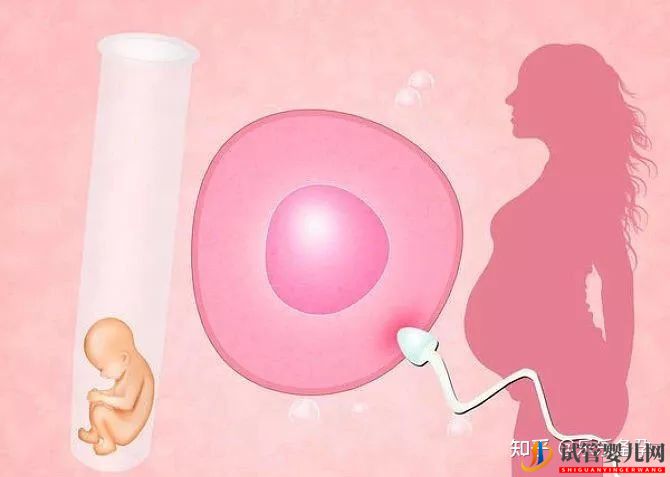 第三代試管嬰兒,中雙胞胎的機率有多大(圖2)