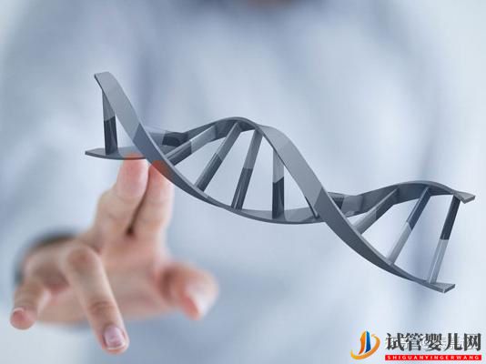 論決定三代試管成功率5大因素之子宮內膜(圖5)