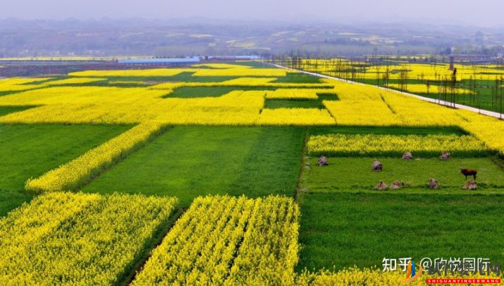 在西安做試管嬰兒所有費用要多少錢(圖6)