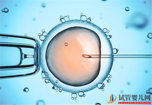 爭奪戰夫妻離婚后做試管嬰兒成功這娃該歸誰？(圖1)