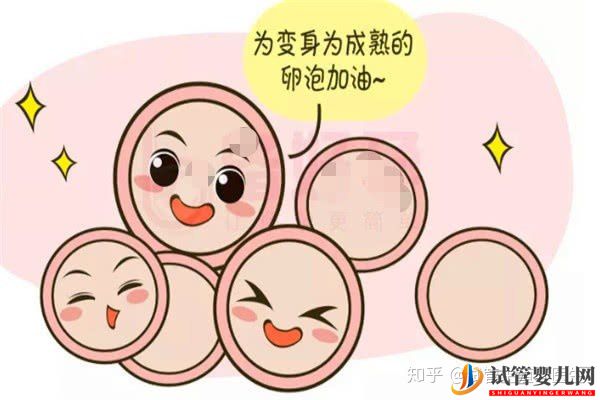 試管嬰兒一代至三代到底有什么樣的區別(圖1) 試管嬰兒一代至三代到底有什么樣的區別(圖1)