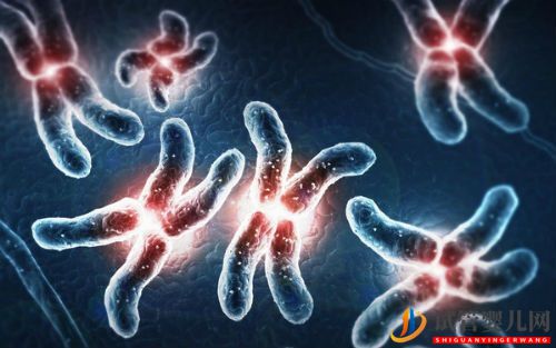 試管嬰兒第三代PGD技術是怎么回事(圖2)