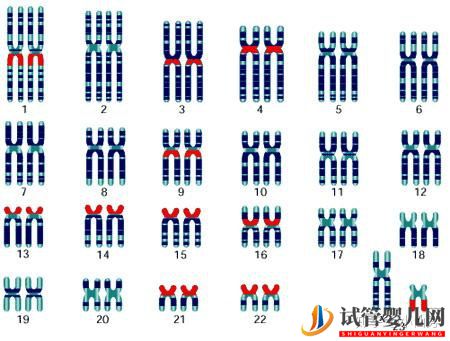 這些性染色體疾病,可以做第三代試管嬰兒(圖1) 這些性染色體疾病,可以做第三代試管嬰兒(圖1)