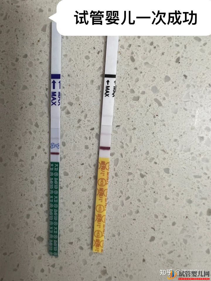 試管一次性成功,喜迎雙胎超順利(圖2)