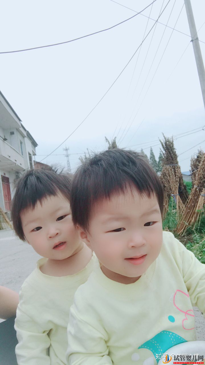 試管嬰兒網(wǎng):試管雙胞胎一次成功必看經(jīng)驗(yàn)(圖1) 試管雙胞胎一次成功必看經(jīng)驗(yàn)(圖1)