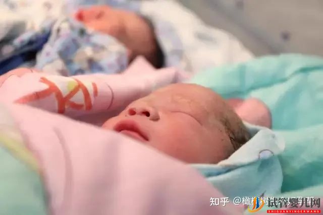 試管嬰兒網(wǎng):做試管嬰兒懷雙胞胎的成功率更大,是真的嗎(圖2) 做試管嬰兒懷雙胞胎的成功率更大,是真的嗎(圖1)