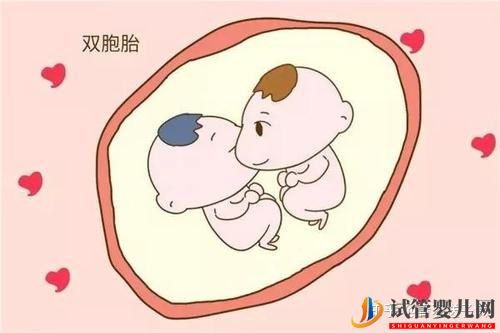 試管嬰兒網:試管嬰兒懷雙胞胎幾率高嗎(圖3) 試管嬰兒懷雙胞胎幾率高嗎(圖3)