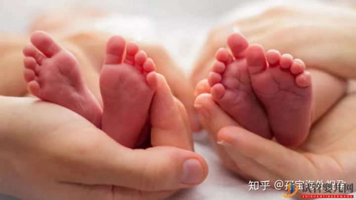 試管嬰兒雙胎真的很容易成功嘛(圖4)