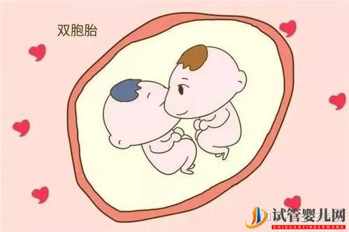 試管嬰兒雙胞胎成功率有多大有哪些風險(圖2)