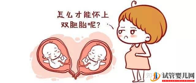試管嬰兒雙胞胎成功率有多大有哪些風險(圖3)
