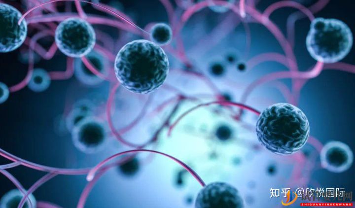 試管嬰兒網(wǎng):做試管嬰兒能100%取得成功嗎(圖5) 做試管嬰兒能100%取得成功嗎(圖3)