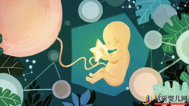 試管嬰兒網(wǎng):做試管嬰兒能100%取得成功嗎(圖3) 做試管嬰兒能100%取得成功嗎(圖2)