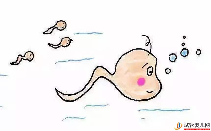 銅仁男性的年齡是否會影響試管嬰兒的成功率(圖1)