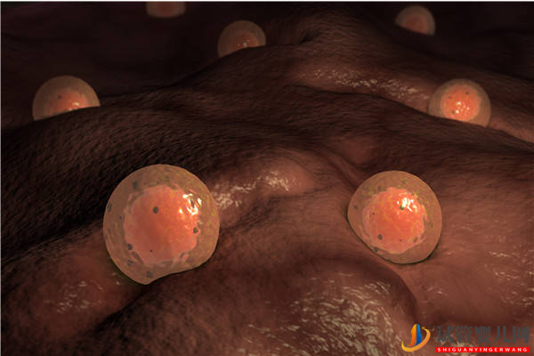 試管嬰兒網(wǎng):多囊、早衰都不是!這才是21個(gè)基礎(chǔ)卵泡降調(diào)變10個(gè)的原因(圖1) 多囊、早衰都不是!這才是21個(gè)基礎(chǔ)卵泡降調(diào)變10個(gè)的原因(圖1)