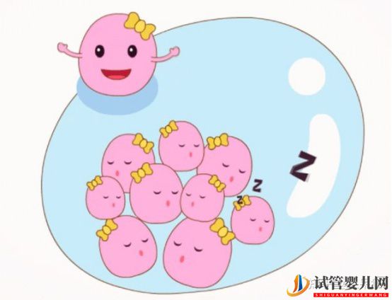 試管嬰兒成功率是怎么計(jì)算的(圖4)