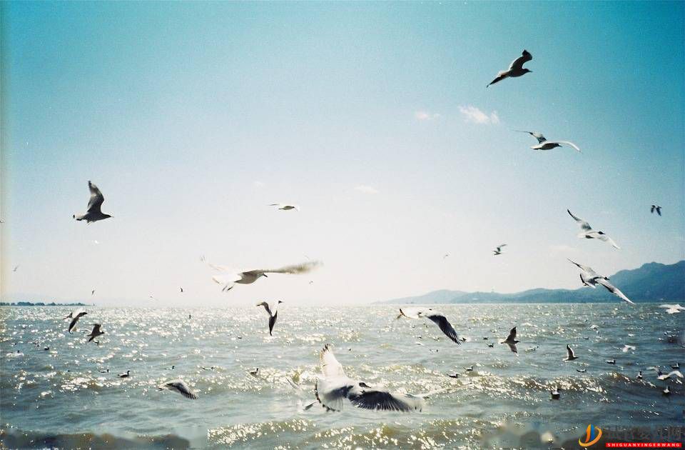 云南昆明與湖南長沙的全年來看，誰更強？(圖2)