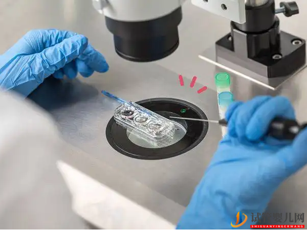 試管嬰兒在交通事故十日后流產(chǎn),損失怎么賠(圖2)